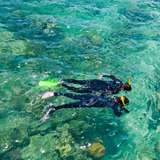 Image related to Snorkelling 