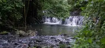 Hike Corcovado National Park