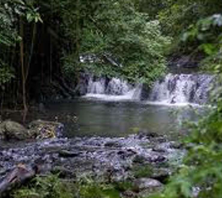 Hike Corcovado National Park