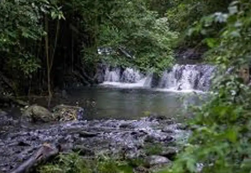 Hike Corcovado National Park