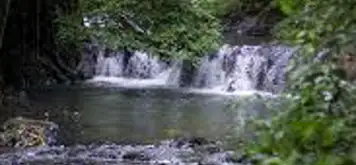 Image related to Hike Corcovado National Park