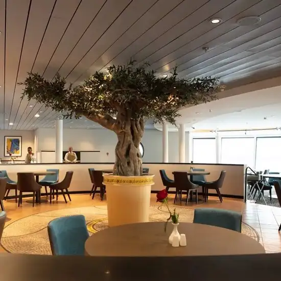 Image related to Celestyal Discovery