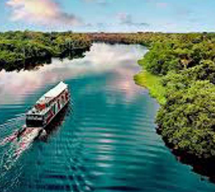 Amazon River Boat Trips