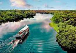 IgluCruise.Application.ViewModels.Shared.WebImageViewModel?.Description