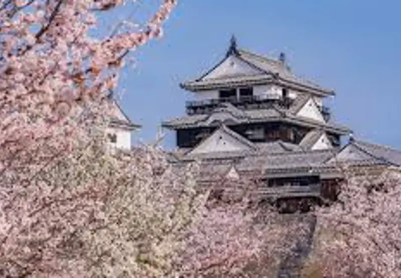 Matsuyama Castle