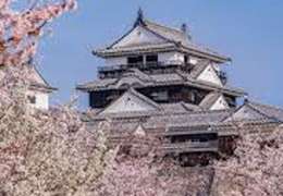 IgluCruise.Application.ViewModels.Shared.WebImageViewModel?.Description