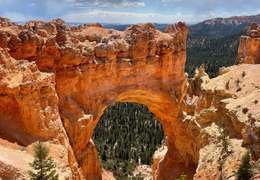 IgluCruise.Application.ViewModels.Shared.WebImageViewModel?.Description