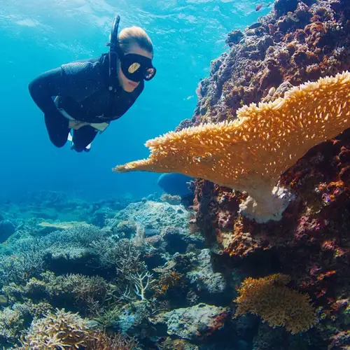 Image related to Palolo Deep Marine Reserve