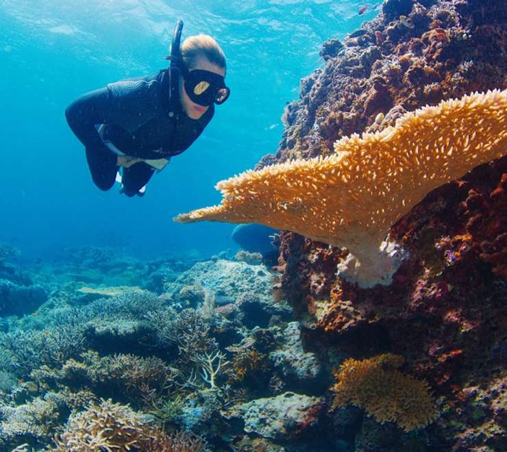Palolo Deep Marine Reserve