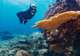 Palolo Deep Marine Reserve