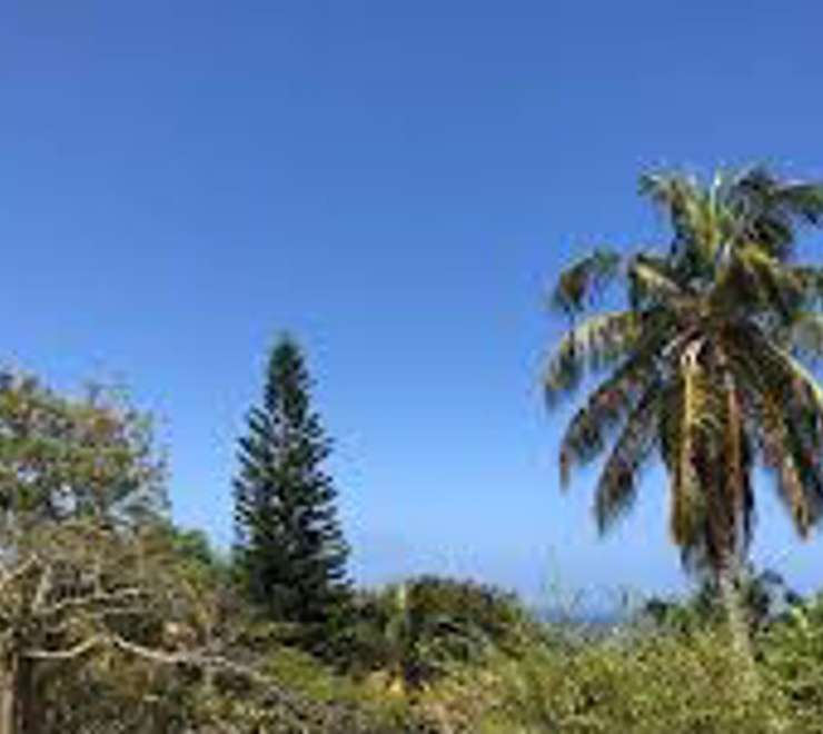 Montserrat National Trust