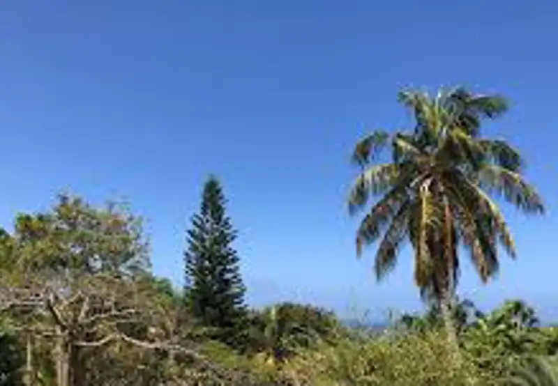 Montserrat National Trust