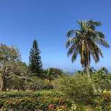 Image related to Montserrat National Trust