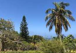 IgluCruise.Application.ViewModels.Shared.WebImageViewModel?.Description