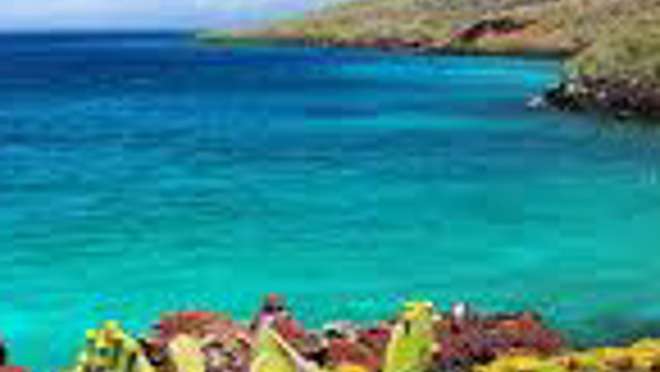 Rabida Island (Galapagos)