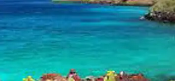 Image related to Rabida Island