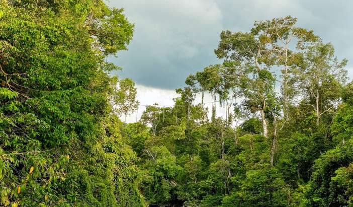 Kinabatangan  Hotel Stay