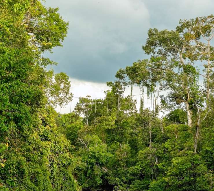 Kinabatangan  Hotel Stay