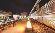 Cook Afternoon & Rawlinna Evening Experience