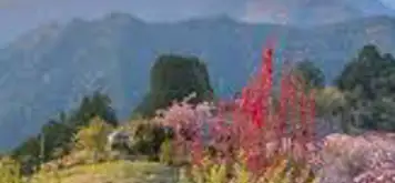 Image related to Kumano