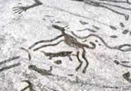 IgluCruise.Application.ViewModels.Shared.WebImageViewModel?.Description