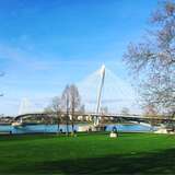 Image related to Rhine Promenade