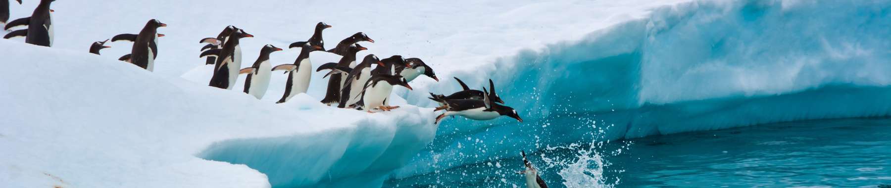 Antarctic cruises