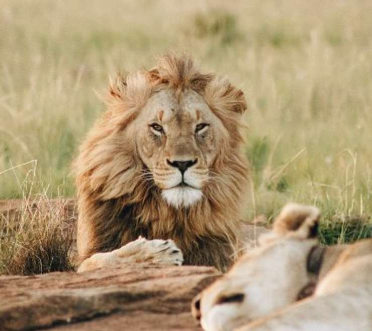 Zoo