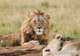 Zoo