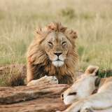 Image related to Zoo