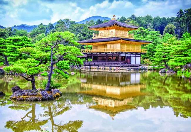 Kyoto - Temples & Spring Blossoms Excursion