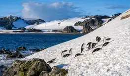Image related to South Shetland Islands (Antarctica)