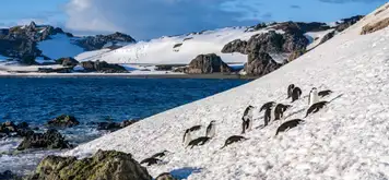 South Shetland Islands (Antarctica)