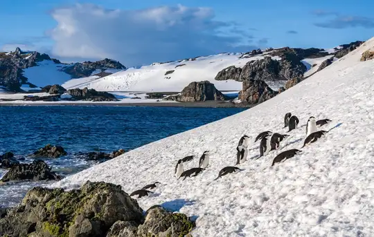 Image related to South Shetland Islands (Antarctica)