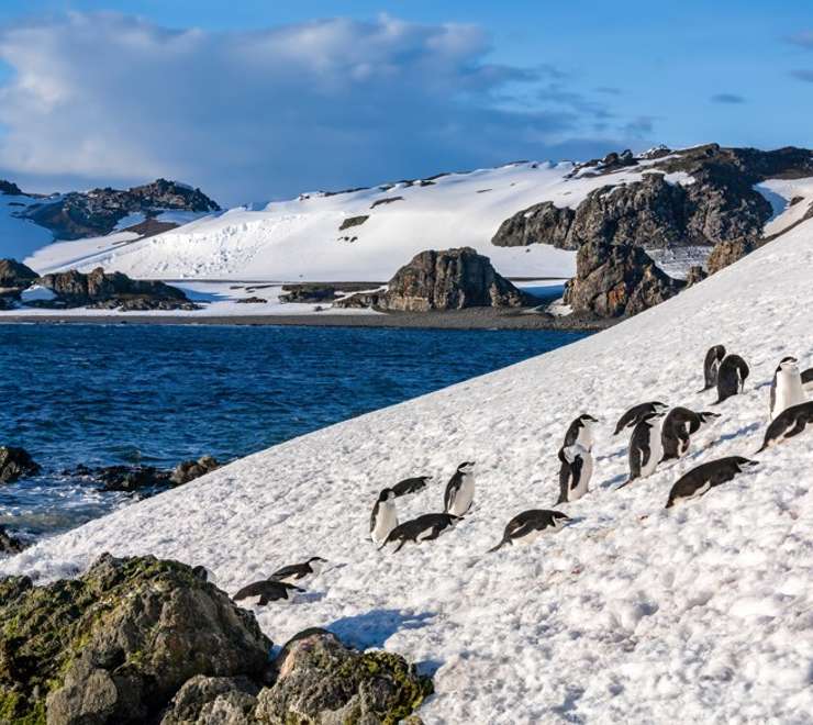 South Shetland Islands