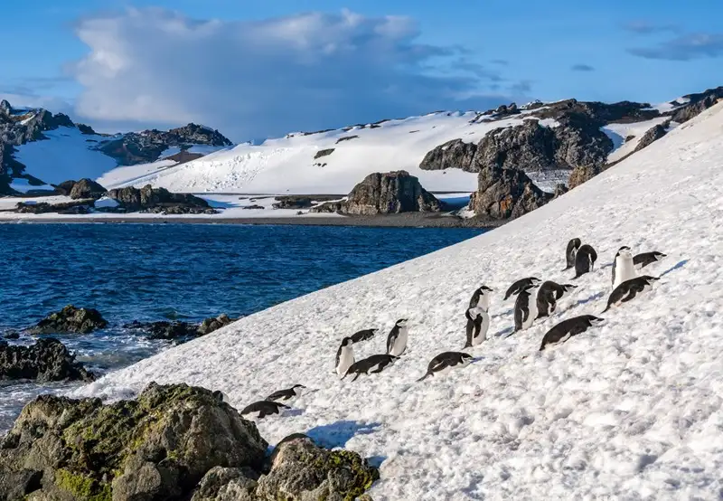 South Shetland Islands