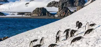 Image related to South Shetland Islands