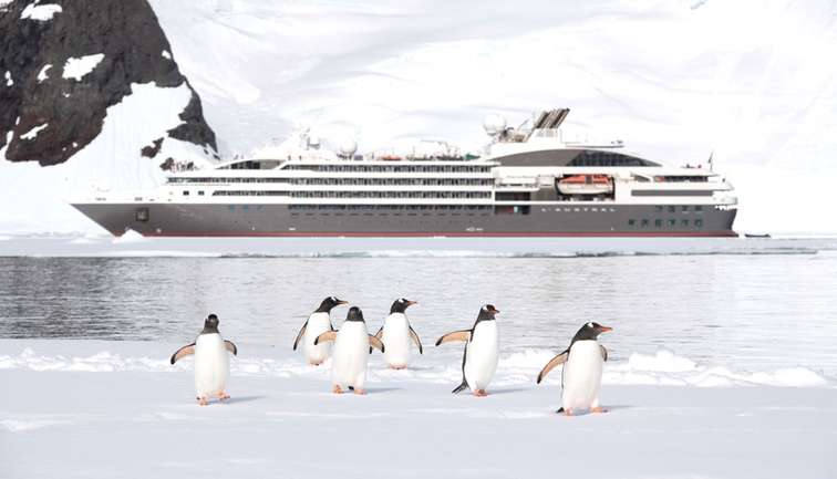 L'Austral