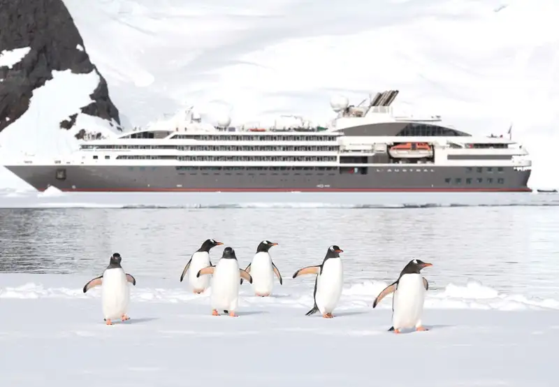 L'Austral