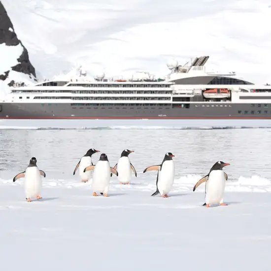 Image related to L'Austral