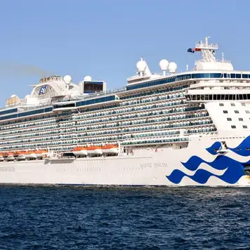 Image related to Majestic Princess