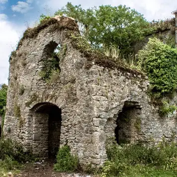 Image related to Barnahely Castle