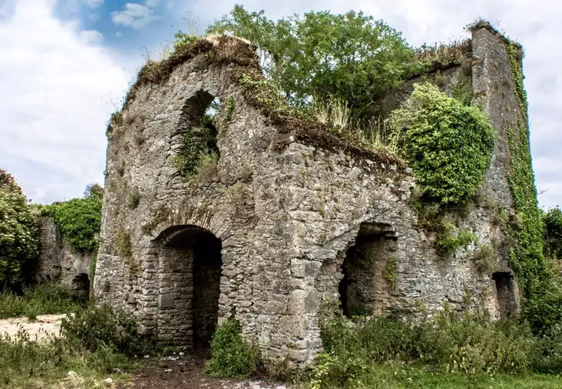 Barnahely Castle