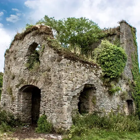Image related to Barnahely Castle