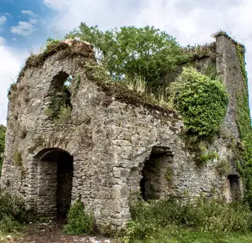 Image related to Barnahely Castle