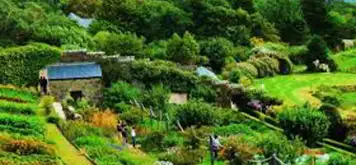 Image related to Inverewe Gardens