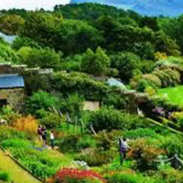 Image related to Inverewe Gardens