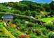 Inverewe Gardens