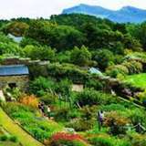 Image related to Inverewe Gardens