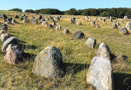 IgluCruise.Application.ViewModels.Shared.WebImageViewModel?.Description